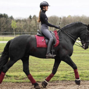 teQ Axel Breeches