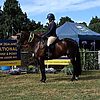 teQ George Breeches
