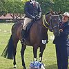 teQ George Breeches
