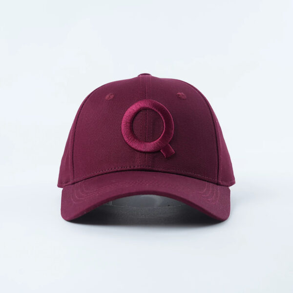 IMG_1569 teQ Cap