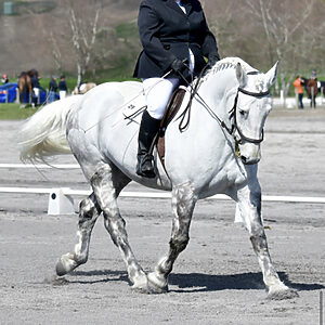 C384D2D6-E929-4574-B011-3502C88E7AF4.jpeg teQ Winter Tights