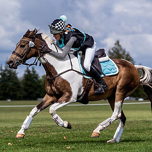 teQ Fleur Aqua Breeches