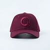 IMG_1569 teQ Cap